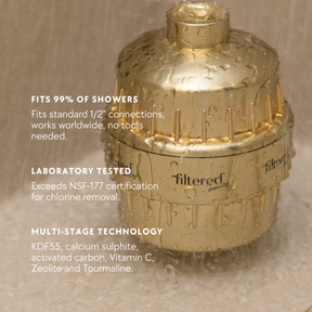 The Scalp Therapy Bundle - Gold